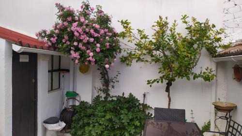 La Puerta de Segura House | La Vieja Parra