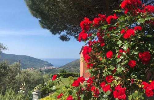 Levanto House | La Vignana - 5 Terre