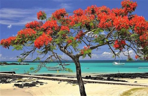 Mont Choisy Villa | LA VILLA 1 Deluxe3 Mont Choisy MAURITIUS
