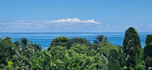 Nosy Boraha Villa | La VILLA ANKARENA Dans un domaine forestier tropical, VILLA ENTIERE avec PISCINE PRIVEE, Wifi, TV, personnels inclus Plage à 5 minutes à pieds