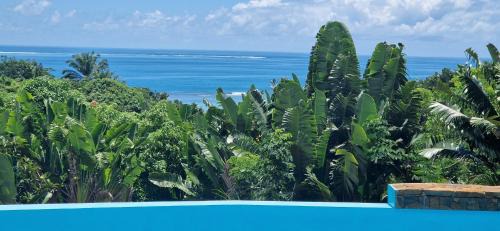 Nosy Boraha Villa | La VILLA ANKARENA Dans un domaine forestier tropical, VILLA ENTIERE avec PISCINE PRIVEE, Wifi, TV, personnels inclus Plage à 5 minutes à pieds