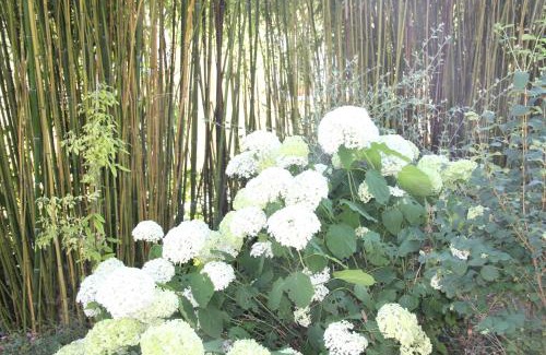 Bussy-Saint-Martin Bed & Breakfast | La Villa Blanche