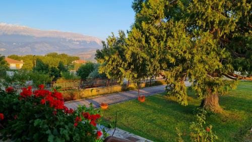 Introdacqua Apartment | La Villa dei Nonni