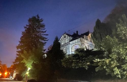 La Petite-Pierre House | LA VILLA DES OISEAUX - La Petite Pierre