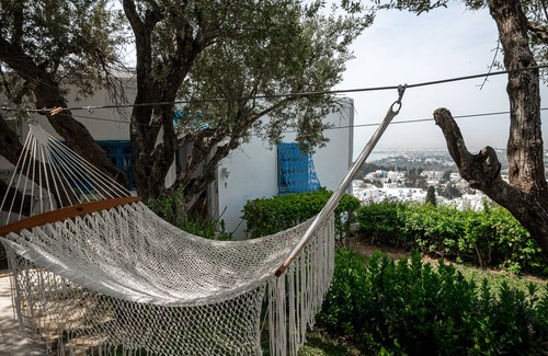 Sidi Bou Said Villa | La Villa Des Oliviers