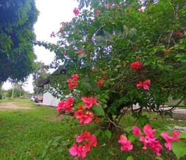 Les Hattes Villa | La villa fruitier Cavalier