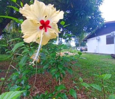 Les Hattes Villa | La villa fruitier Cavalier