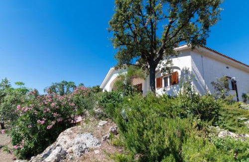 Leporano Marina Villa | La Villa