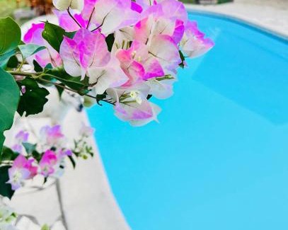Matoury House | La Villa Louisia