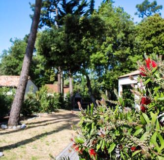 Bretignolles-sur-Mer Villa | La Villa Pinède avec SPA à 5 minutes de la mer