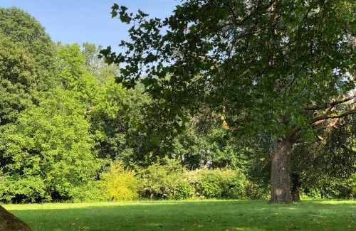 Forges-les-Bains Bed & Breakfast | La villa rochette
