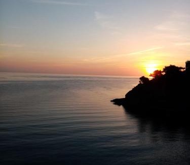 Cerbere House | La villa Rosace