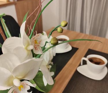 Stari Banovci Apartment | La Vista