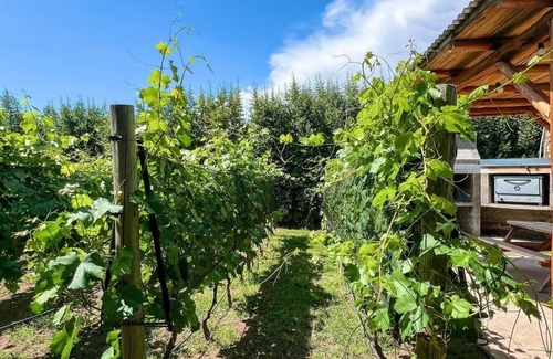 San Rafael Cottage | La Vita e Bella Cabanas en San Rafael