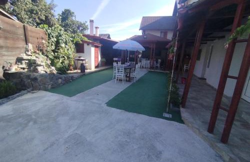 Albestii Paminteni House | La Zinculescu