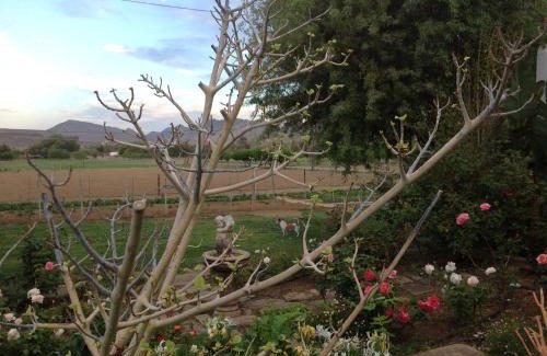 Prince Albert House | Laasteskof - The end of the road