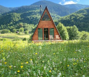 Mazeri Apartment | Labna Huts