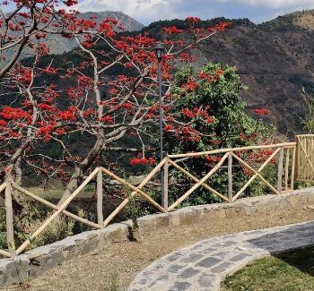 Shimla Resort | LaCasa, Luxury Stays