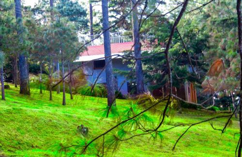 Nueva Concepcion House | Lacasadelbosquesv