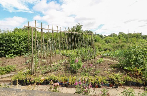 Longnor House | Lacewood