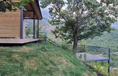 Azerbaijan House | Lady and Bear