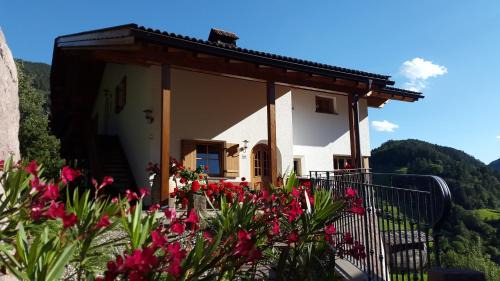 Albions House | Lafreiderhof