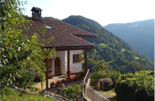 Albions House | Lafreiderhof