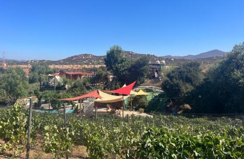 San Antonio de las Minas Apartment | Lago Amor del Valle Casita
