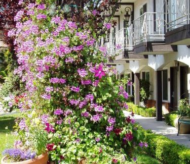 Laguna Hills Hotel | Laguna Hills Lodge-Irvine Spectrum