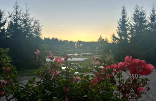 Garkalne Hotel | Laguna House