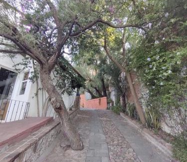 Colonia San Antonio House | Laica House