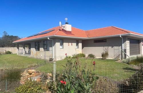 Fisherhaven Villa | Laid-Back Tortoise