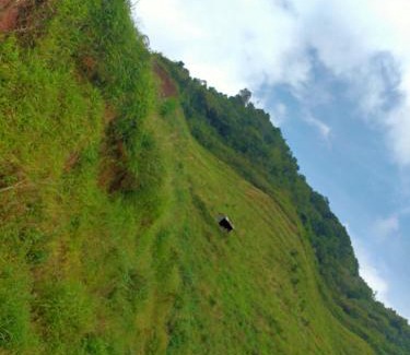 Waisai Apartment | Lajoanging Adventure Resort