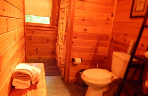 Sevierville Cabin | Lake Access "Discounted"