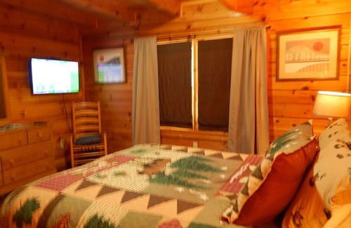 Sevierville Cabin | Lake Access "Discounted"