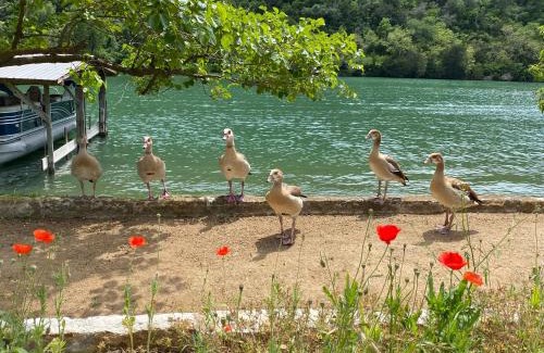 Lower Basin Lake Travis Resort | Lake Austin Spa Resort - All Inclusive