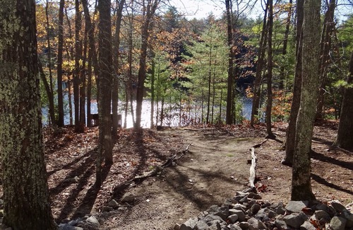 Alfred House | Lake Escape