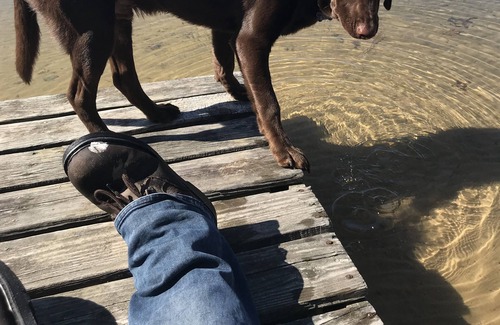 Hale Cabin | Lake Front cabin on ORV trail head! 5 mins from AuSable River pets welcome!