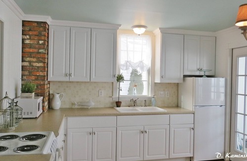 Vermilion House | Lake Front Cottage Home with Second Story Balcony Double Lot