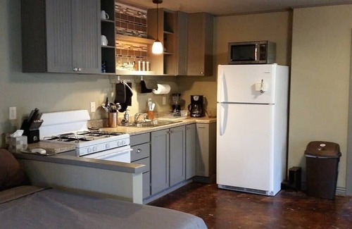 Eureka Springs House | Lake Front, Lake Access, Fire Pit, Sleeps 12