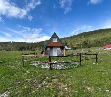 Zabljak House | Lake house- Jakov