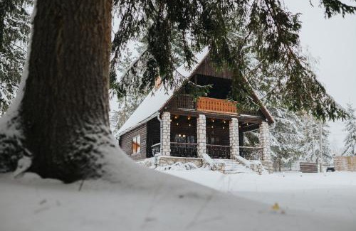 Izvoru Muresului Apartment | Lake House