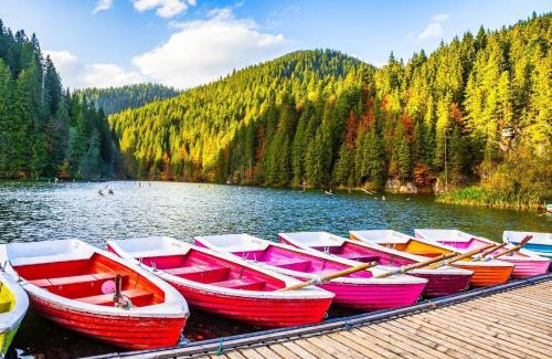 Izvoru Muresului Apartment | Lake House