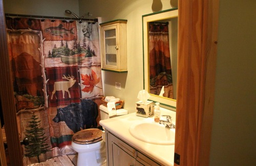 Greenbush Cabin | Lake Huron private Sugar Sandy beach with Cozy cabin!