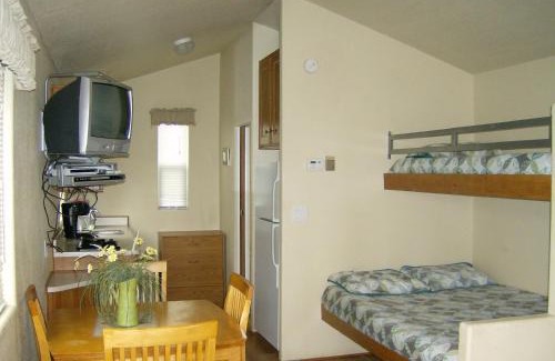 Nicolaus Resort | Lake Minden Camping Resort Cabin 1