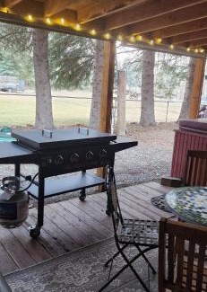 Ponder Point Cabin | Lake Room