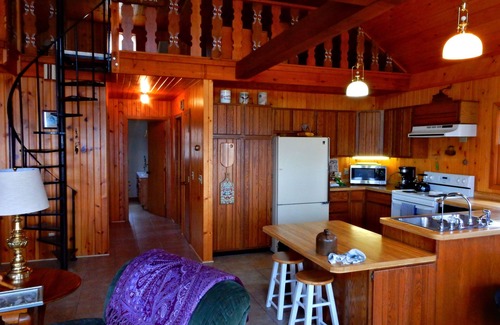 Darwin Cabin | Lake Stella beautiful beach and spacious deck on quiet private drive.