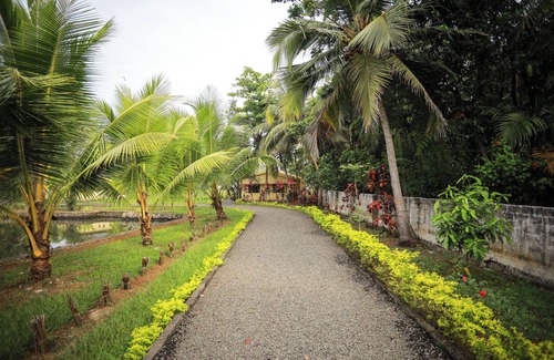 Andhakaranazhy Cottage | Lake Vechoor Villas By BRDGE HOSPITALITY
