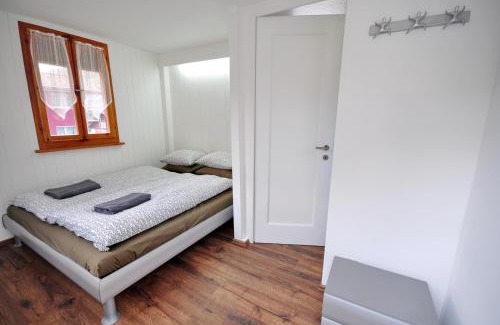 Boenigen Ski Chalet | Lake View Chalet