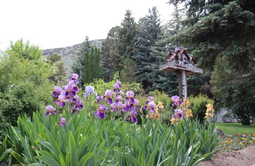 Lee Vining Cabin | Lake View Lodge